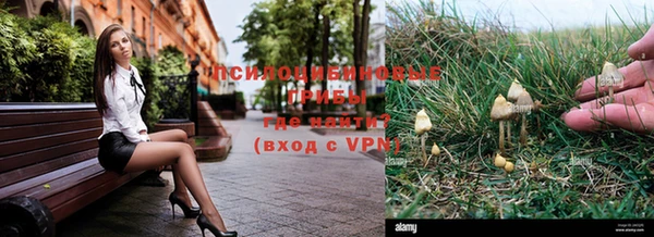 альфа пвп Козловка