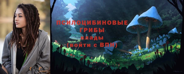 альфа пвп Козловка
