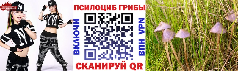 Псилоцибиновые грибы ЛСД Гай