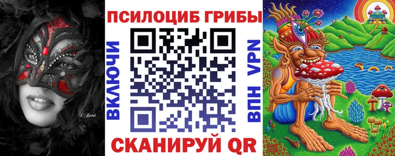 Галлюциногенные грибы Cubensis Купить Гай